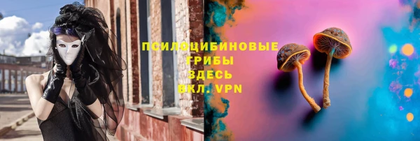 метадон Ладушкин